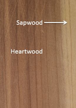 sapwood_heartwood